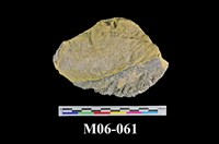 藏品(硫砷銅礦)的圖片